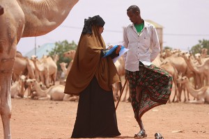 Somali Region
