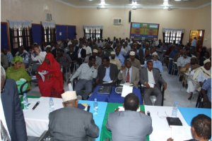 A historic moment: Puntland's constitution now ratified