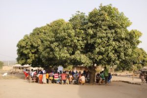 Côte d'Ivoire: Putting inclusive governance at the heart of rural land tenure
