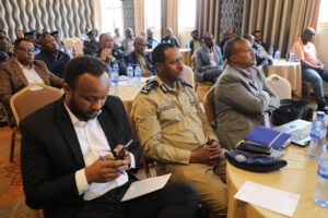 Strengthening Ethiopia’s crime response plan