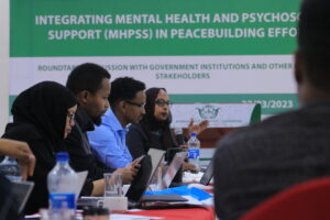 Intégration de la santé mentale et du soutien psychosocial (SMSPS) dans les efforts de consolidation de la paix et la justice transitionnelle dans les régions somaliennes